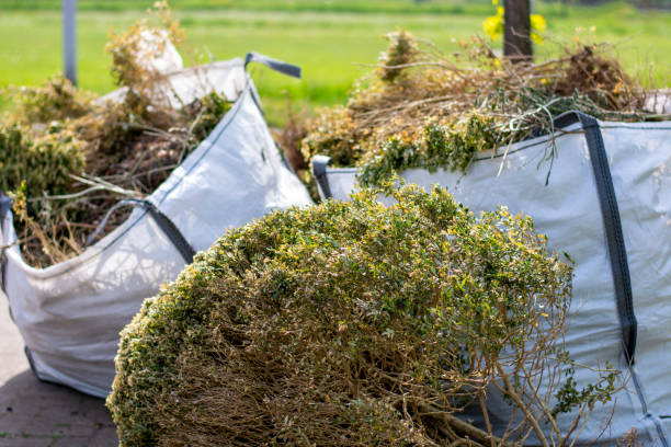 Best Moving and Downsizing Cleanouts  in Payson, IL