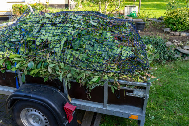Best Estate Cleanout  in Payson, IL